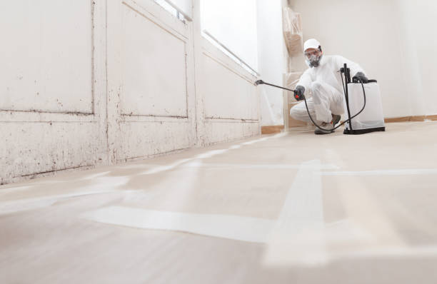 Asbestos and Lead Testing During Mold Inspection in River Heights, UT